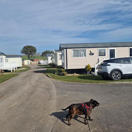 Hotel Durdlee Door, D27, Main Rd, West Lulworth, Wareham Bh20 5Pu Zewnętrze zdjęcie
