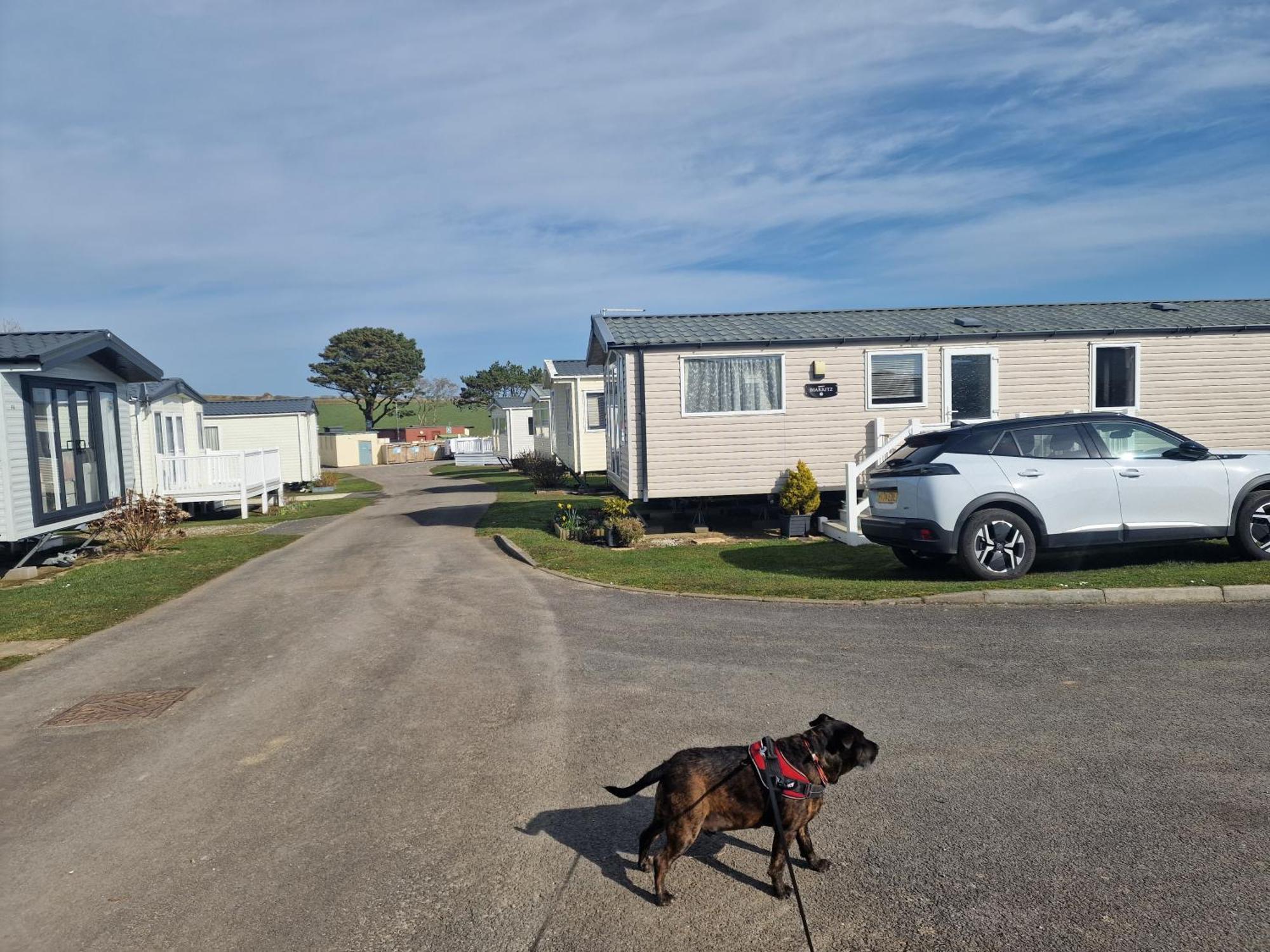 Hotel Durdlee Door, D27, Main Rd, West Lulworth, Wareham Bh20 5Pu Zewnętrze zdjęcie
